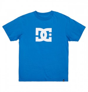 Hombre Camiseta DC Shoes DC Star Azules | FVB-486251