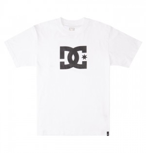 Hombre Camiseta DC Shoes DC Star Blancas | NKD-635149