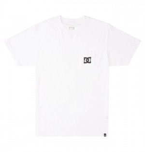 Hombre Camiseta DC Shoes DC Star Blancas | AFG-308126