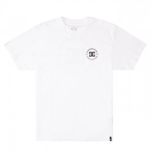 Hombre Camiseta DC Shoes DC Star Pilot Blancas | QBM-845239