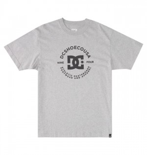 Hombre Camiseta DC Shoes DC Star Pilot Gris | HRA-548029