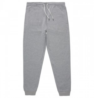 Hombre Pantalon DC Shoes Riot 2 Sweatpants Gris | WFY-304215