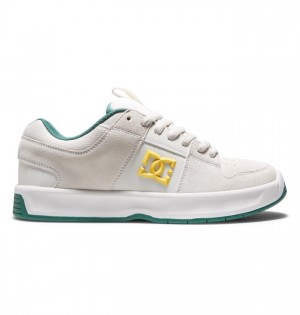 Hombre Tenis DC Shoes Lynx Zero Skate Gris Claro | KFS-312896