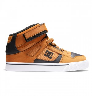 Niños Pure DC Shoes High Elastic Krajkové High-Top Marrones Negras | VRX-941652