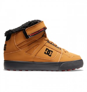 Niños Pure DC Shoes Winterized Marrones Negras | NMO-183954