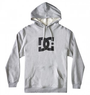 Niños Sudadera con Capucha DC Shoes DC Star Gris | BNG-964328