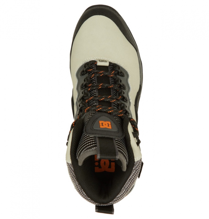 Hombre Botas de Invierno DC Shoes Navigator Creme | ZWK-569703