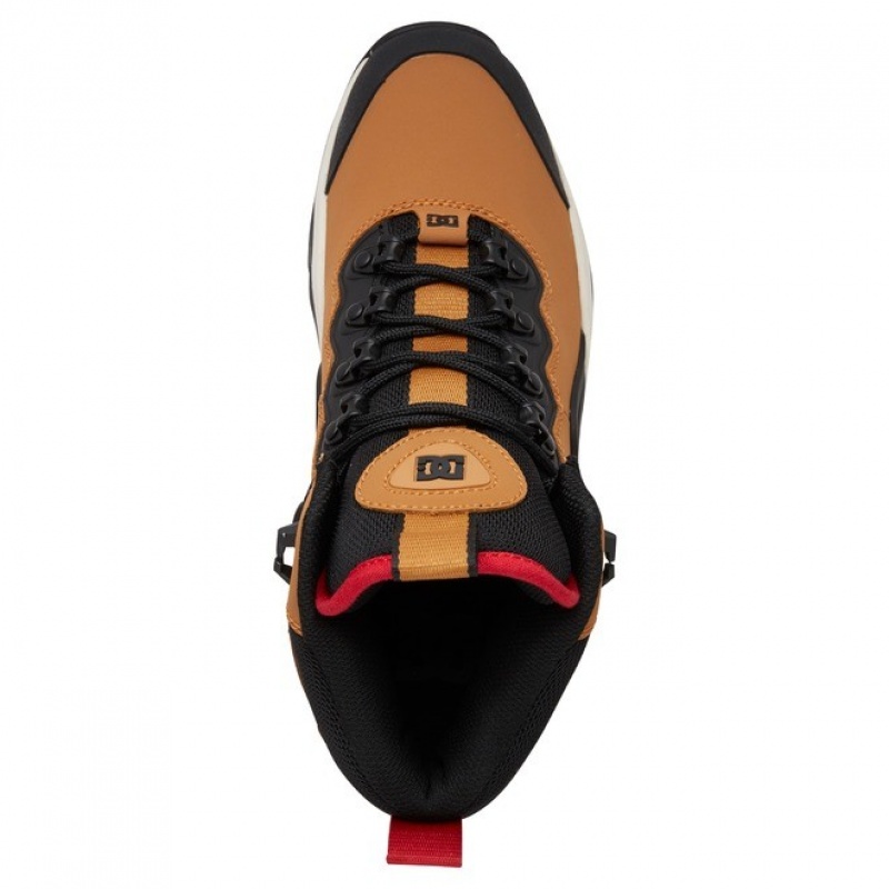 Hombre Botas de Invierno DC Shoes Navigator Krajkové Marrones Negras | QST-396145