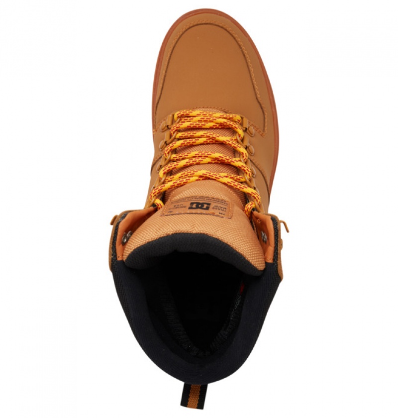 Hombre Botas de Invierno DC Shoes Peary Krajkové Marrones Negras | QPJ-205874