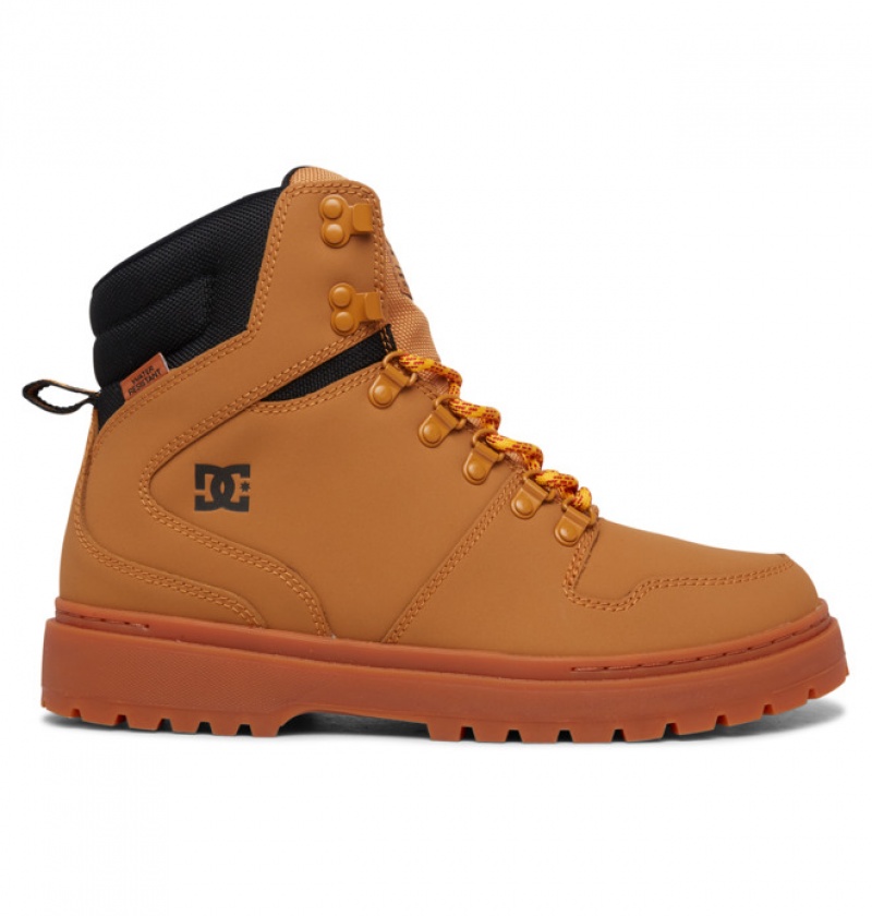 Hombre Botas de Invierno DC Shoes Peary Krajkové Marrones Negras | QPJ-205874