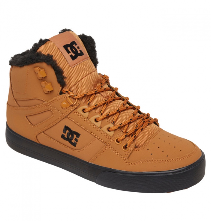 Hombre Botas de Invierno DC Shoes Pure High-Top Marrones Negras | KDC-824910