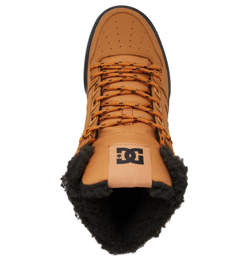 Hombre Botas de Invierno DC Shoes Pure High-Top Marrones Negras | KDC-824910