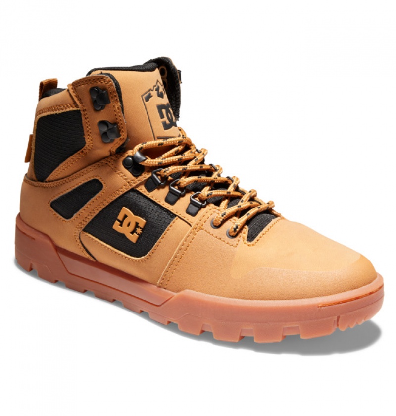 Hombre Botas de Invierno DC Shoes Pure High-Top Vody-Resistant Marrones Negras | SXW-540261