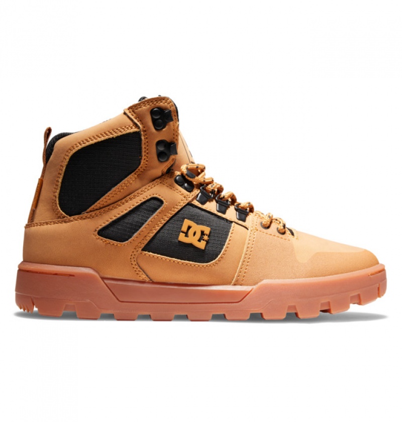 Hombre Botas de Invierno DC Shoes Pure High-Top Vody-Resistant Marrones Negras | SXW-540261