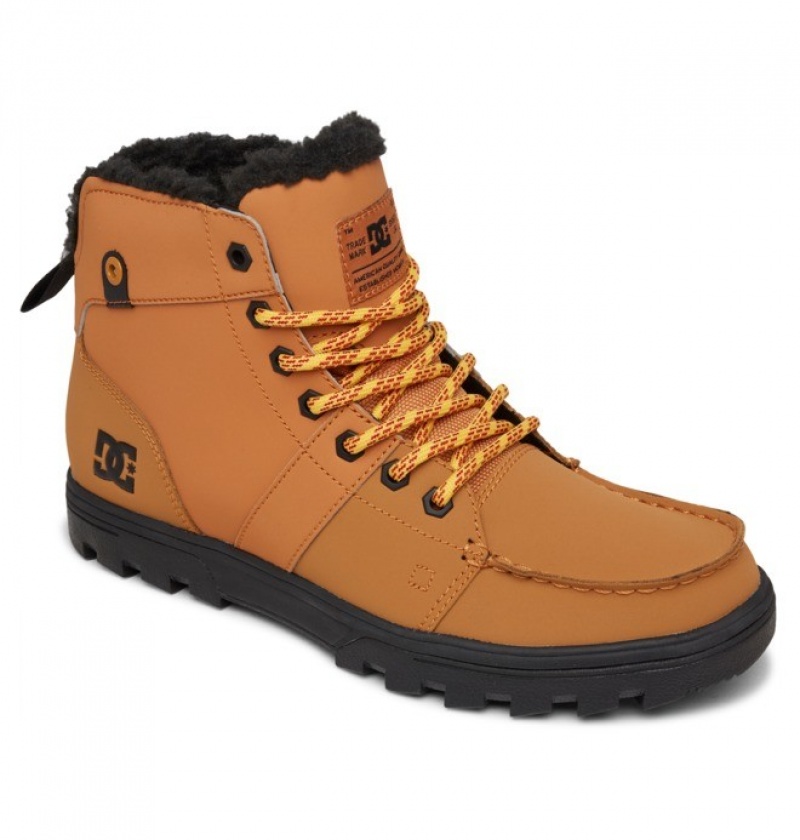 Hombre Botas de Invierno DC Shoes Woodland Marrones | XHN-850624