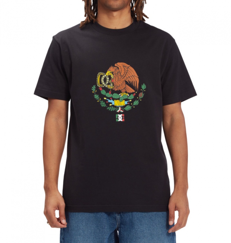 Hombre Camiseta DC Shoes Alexis Ramirez Heritage Negras | AXB-934685