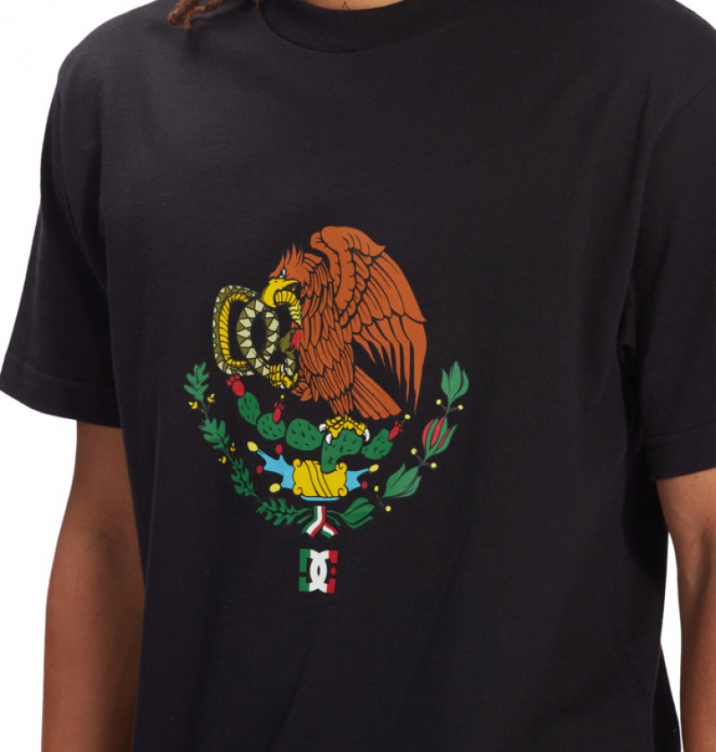 Hombre Camiseta DC Shoes Alexis Ramirez Heritage Negras | AXB-934685