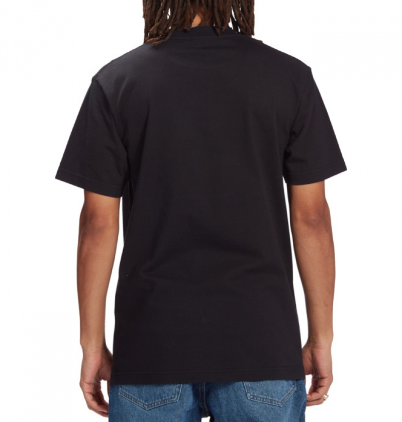 Hombre Camiseta DC Shoes Alexis Ramirez Heritage Negras | AXB-934685