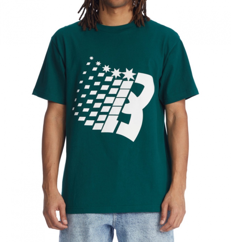 Hombre Camiseta DC Shoes Bronze56K x DC Star Heritage Verde | QFI-093742