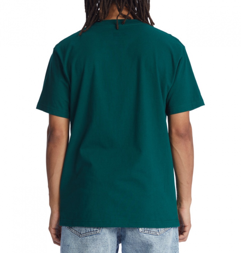 Hombre Camiseta DC Shoes Bronze56K x DC Star Heritage Verde | QFI-093742