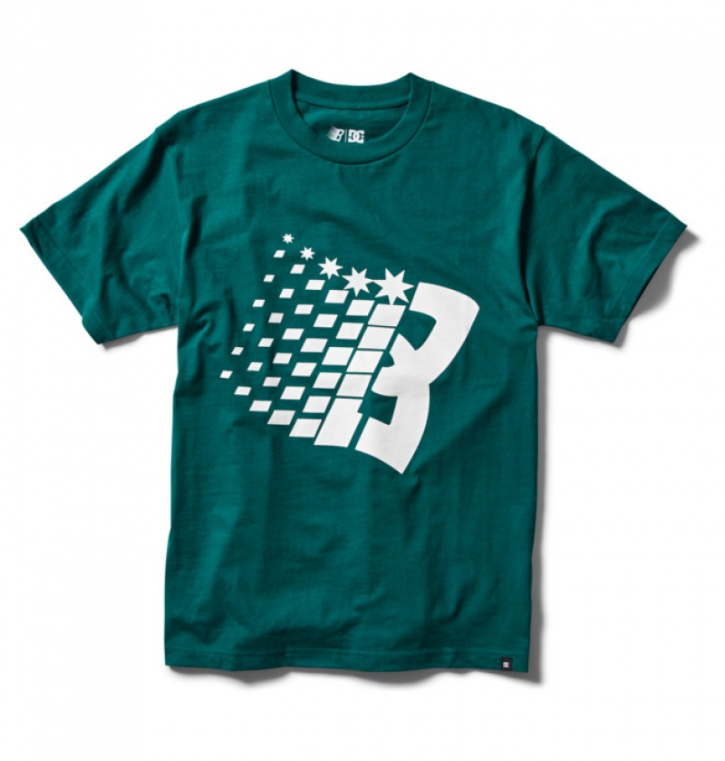 Hombre Camiseta DC Shoes Bronze56K x DC Star Heritage Verde | QFI-093742