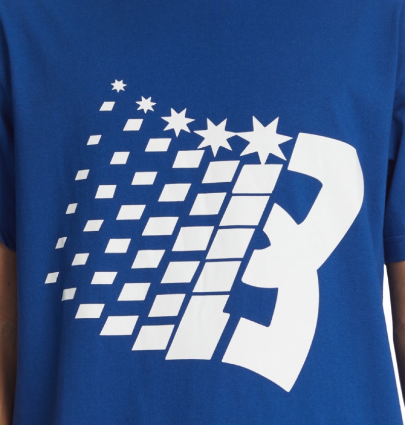 Hombre Camiseta DC Shoes Bronze56K x DC Star Heritage Azules | UFN-426890