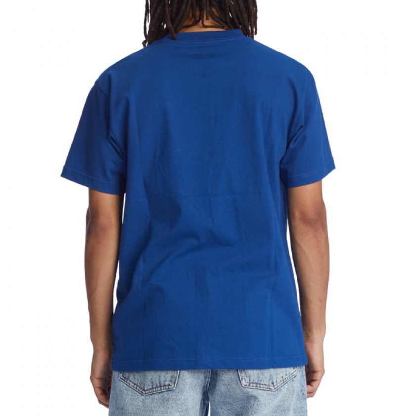 Hombre Camiseta DC Shoes Bronze56K x DC Star Heritage Azules | UFN-426890