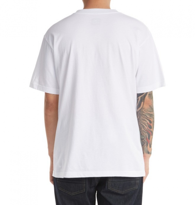 Hombre Camiseta DC Shoes DC Star Blancas | NKD-635149