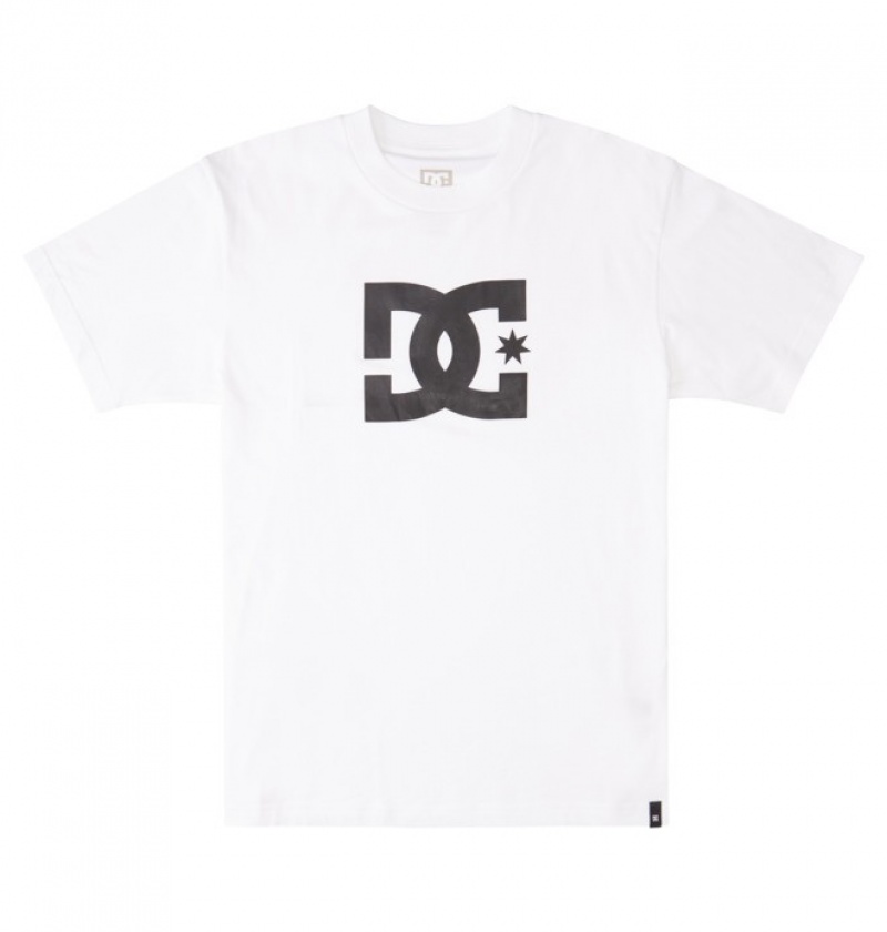 Hombre Camiseta DC Shoes DC Star Blancas | NKD-635149