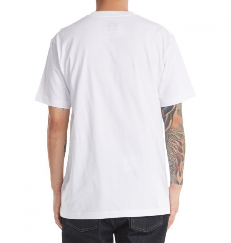 Hombre Camiseta DC Shoes DC Star Blancas | AFG-308126