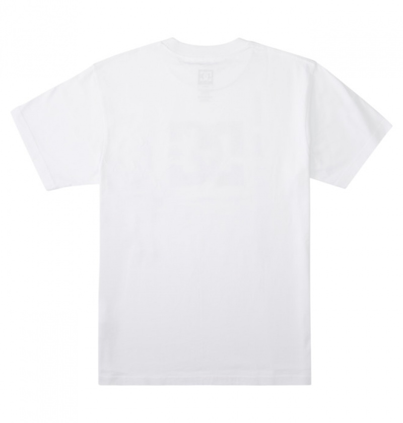 Hombre Camiseta DC Shoes DC Star Fill Heritage Blancas | VPT-786519