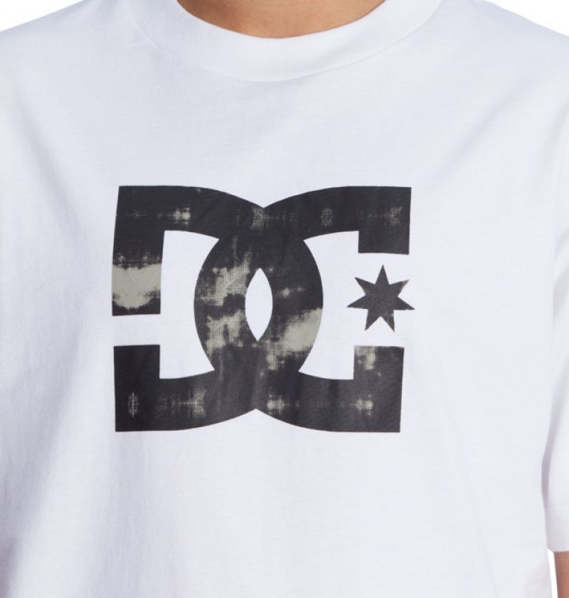 Hombre Camiseta DC Shoes DC Star Fill Heritage Blancas | VPT-786519