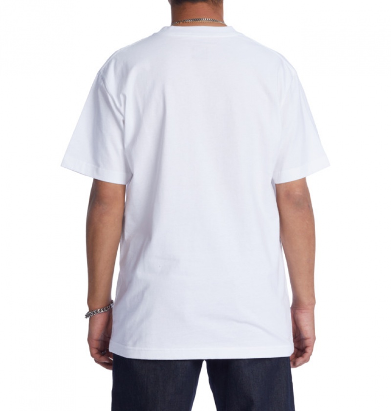 Hombre Camiseta DC Shoes DC Star Fill Heritage Blancas | VPT-786519