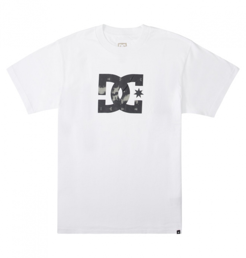 Hombre Camiseta DC Shoes DC Star Fill Heritage Blancas | VPT-786519