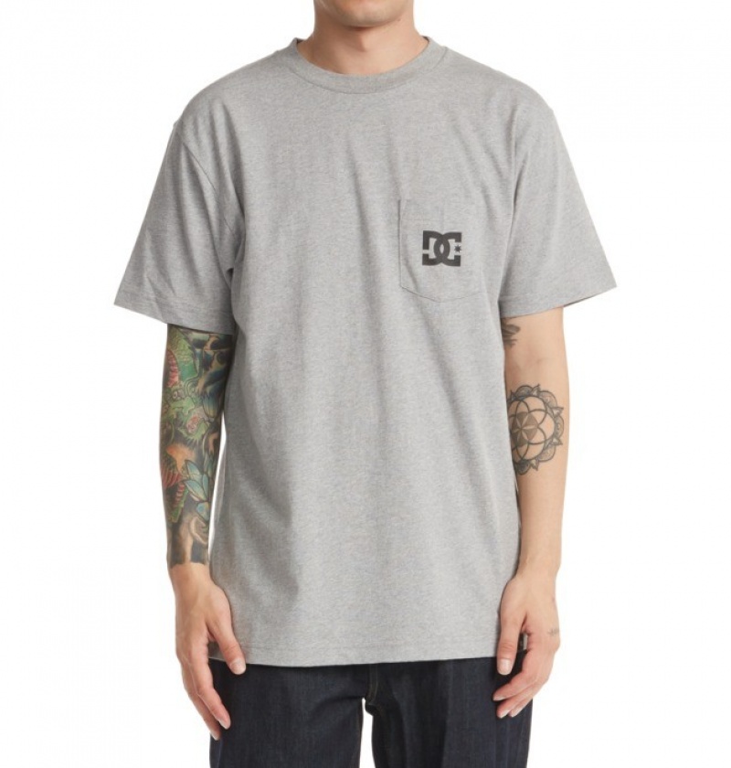 Hombre Camiseta DC Shoes DC Star Gris | VEU-530986