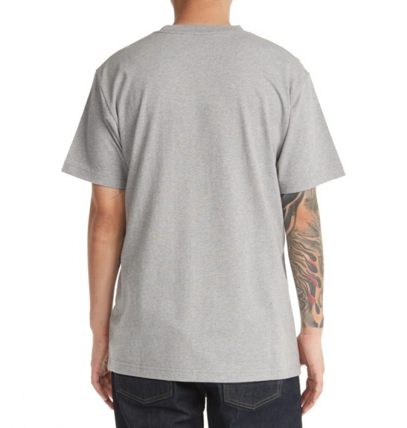 Hombre Camiseta DC Shoes DC Star Gris | VEU-530986