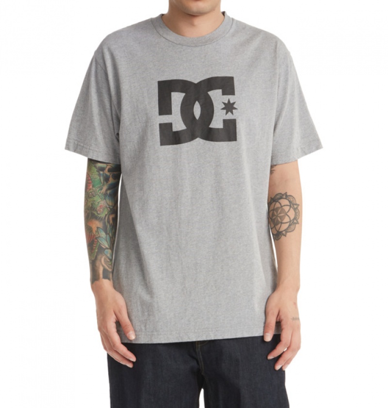 Hombre Camiseta DC Shoes DC Star Gris | VOM-735624