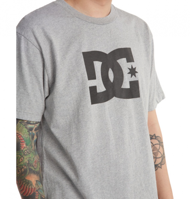 Hombre Camiseta DC Shoes DC Star Gris | VOM-735624