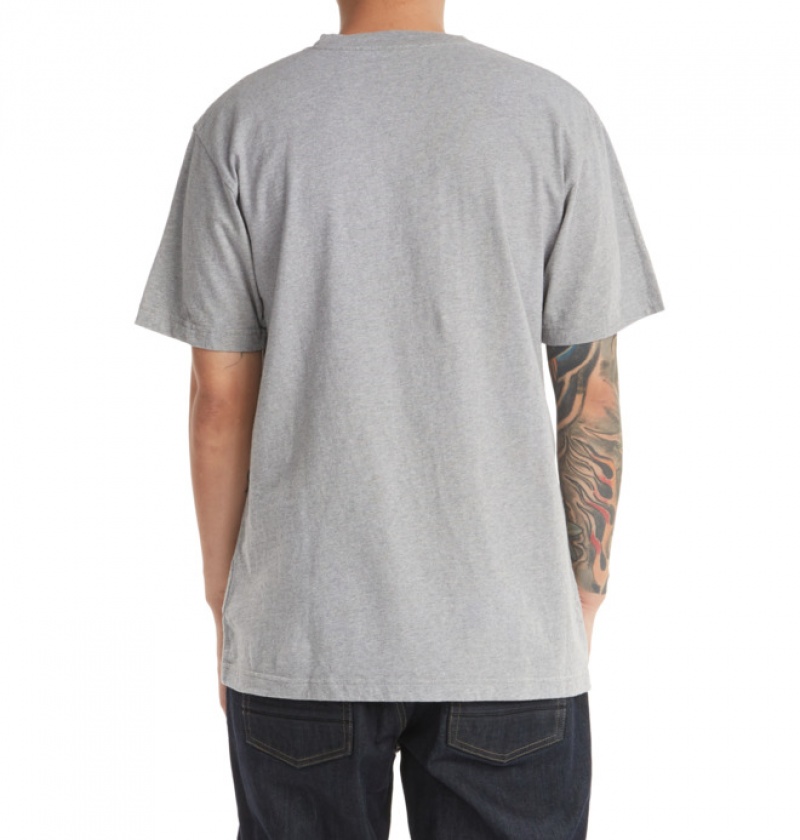 Hombre Camiseta DC Shoes DC Star Gris | VOM-735624