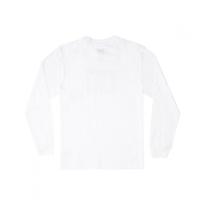 Hombre Camiseta DC Shoes DC Star Long Sleeve Blancas | MNP-318629