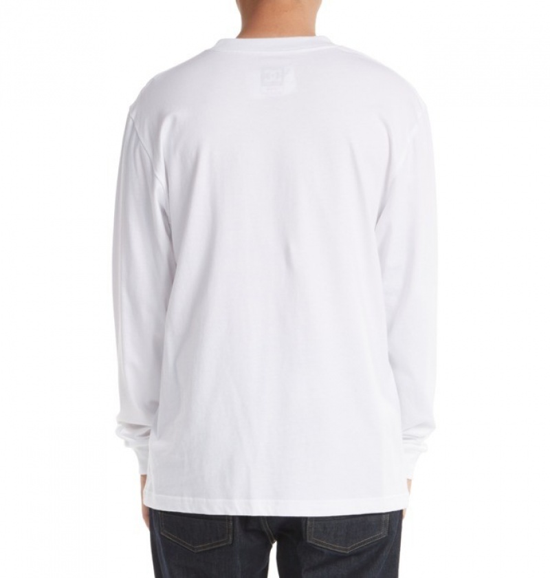 Hombre Camiseta DC Shoes DC Star Long Sleeve Blancas | MNP-318629