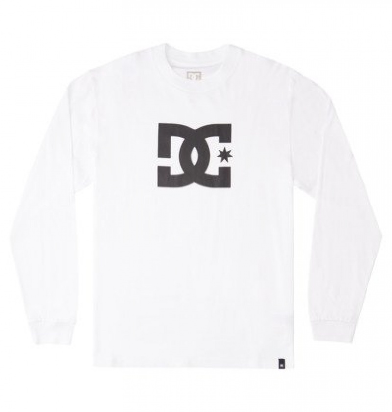 Hombre Camiseta DC Shoes DC Star Long Sleeve Blancas | MNP-318629