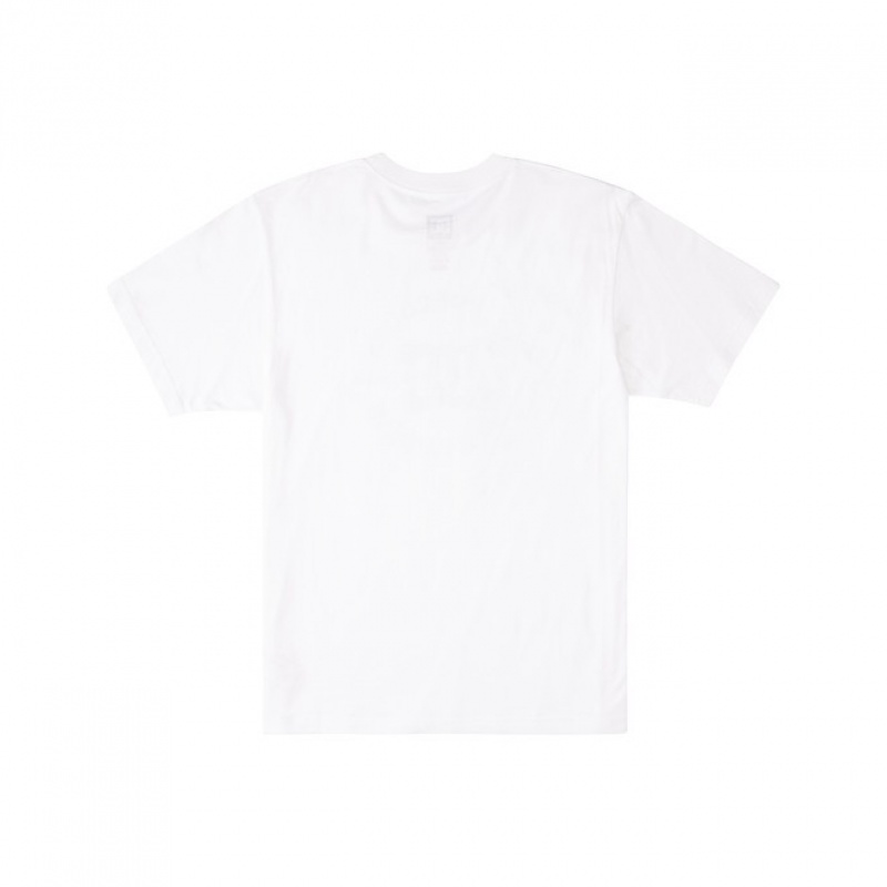 Hombre Camiseta DC Shoes DC Star Pilot Blancas | WYZ-236708