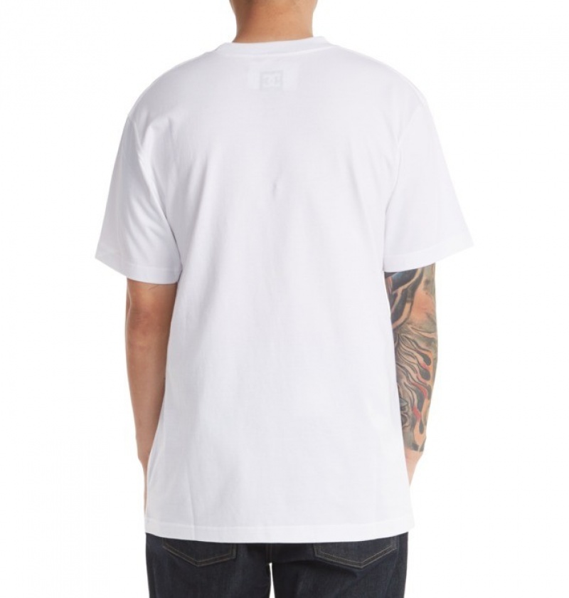 Hombre Camiseta DC Shoes DC Star Pilot Blancas | WYZ-236708