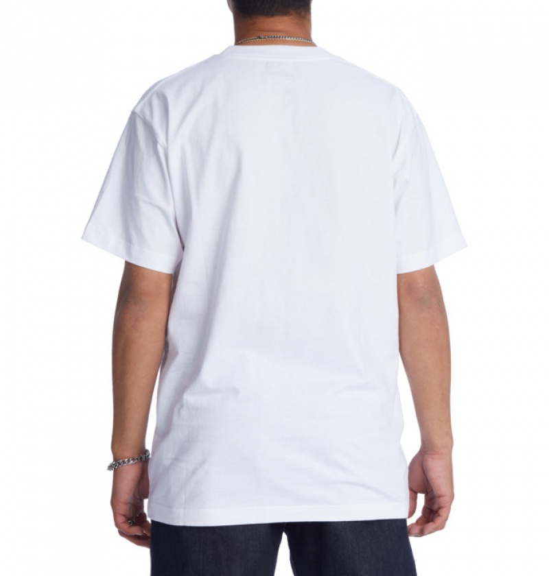 Hombre Camiseta DC Shoes Strong Hold Heritage Blancas | JDU-946270