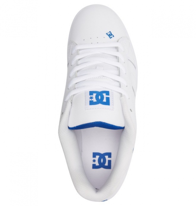 Hombre Net DC Shoes Blancas Azul Real | DCS-261035