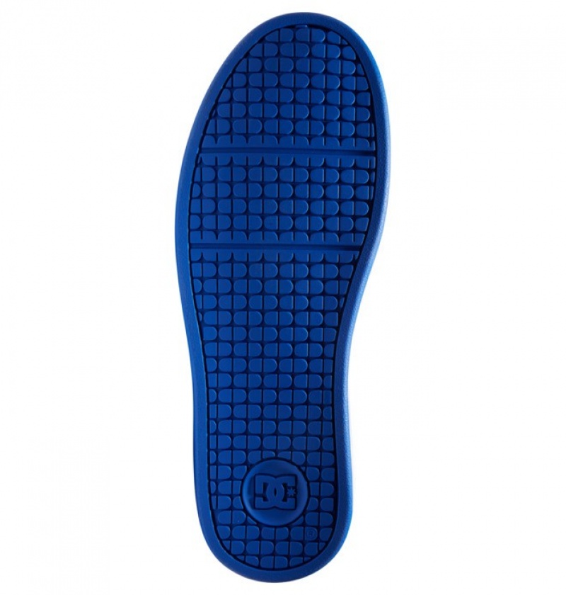 Hombre Net DC Shoes Blancas Azul Real | DCS-261035