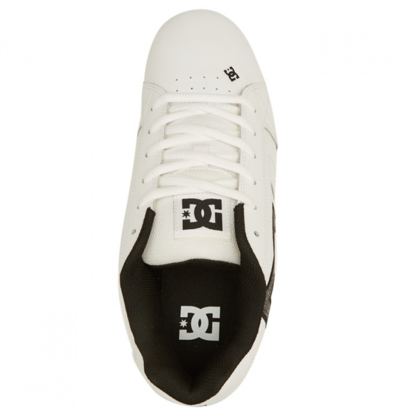 Hombre Net DC Shoes Blancas Gris Oscuro Blancas | ELB-407519