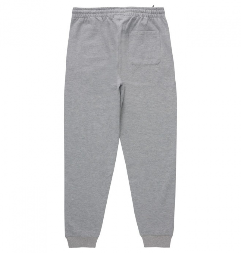 Hombre Pantalon DC Shoes Riot 2 Sweatpants Gris | WFY-304215