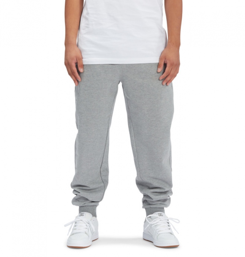 Hombre Pantalon DC Shoes Riot 2 Sweatpants Gris | WFY-304215